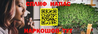 ешки Краснознаменск