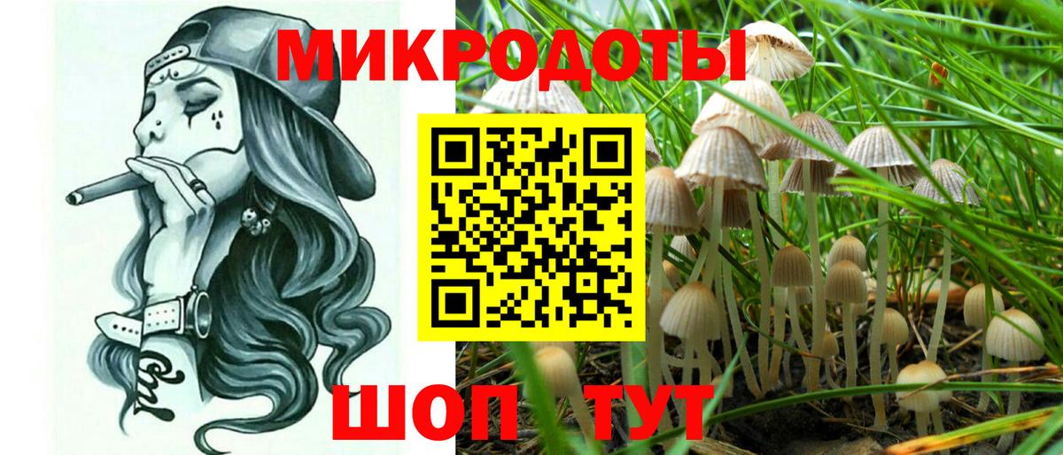Кириши  Псилоцибиновые грибы мухоморы  Вход с VPN  Галлюциногенные грибы мухоморы 