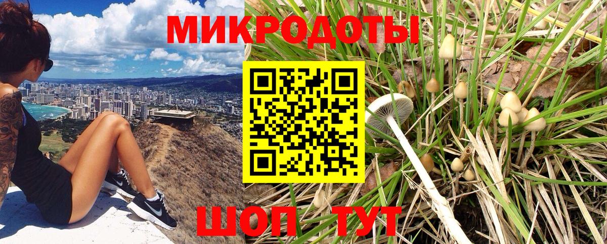 Галлюциногенные грибы Cubensis Кириши